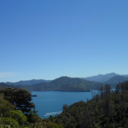 Sequoia Lodge Backpackers Picton Kültér fotó