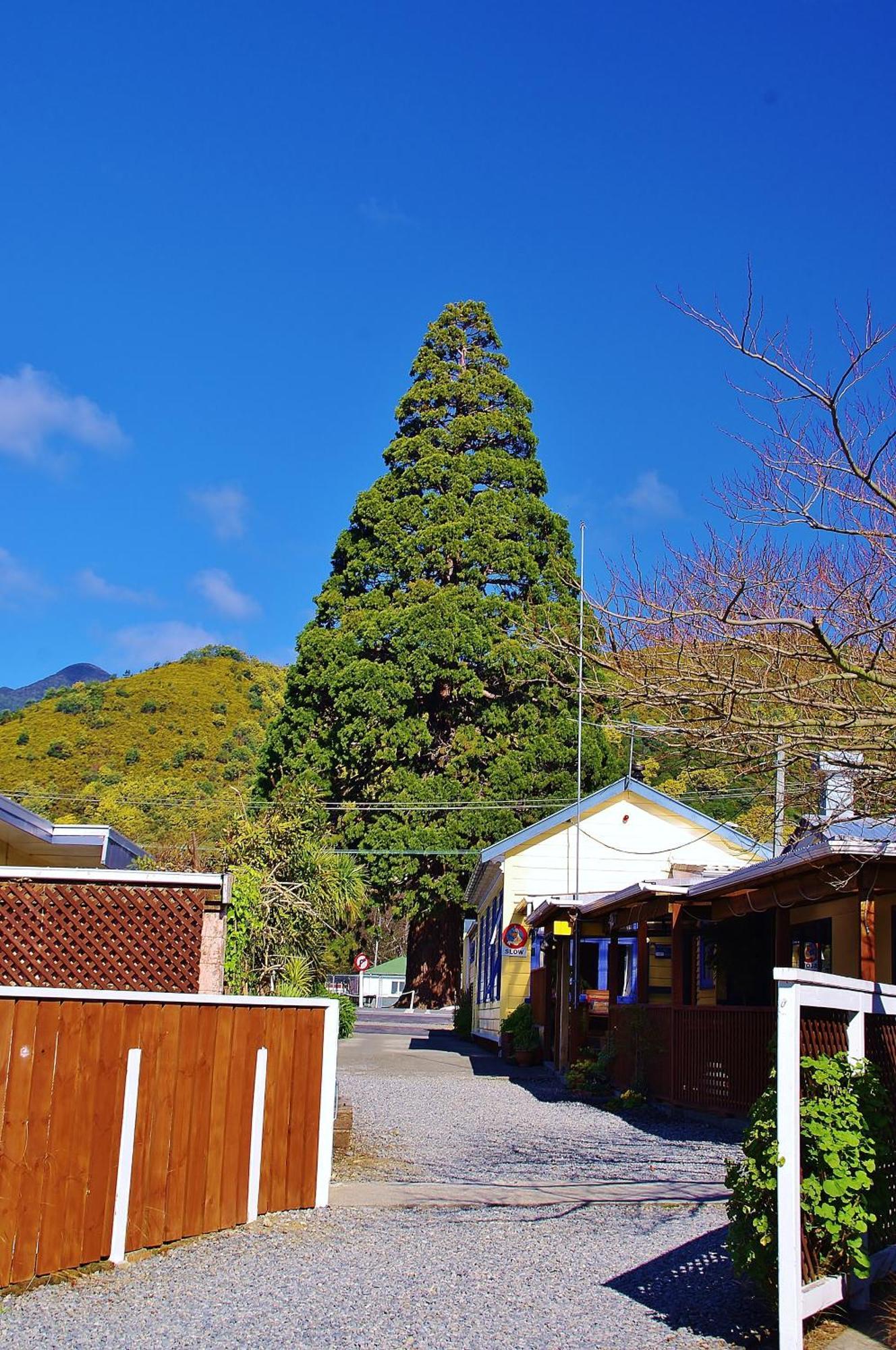 Sequoia Lodge Backpackers Picton Kültér fotó